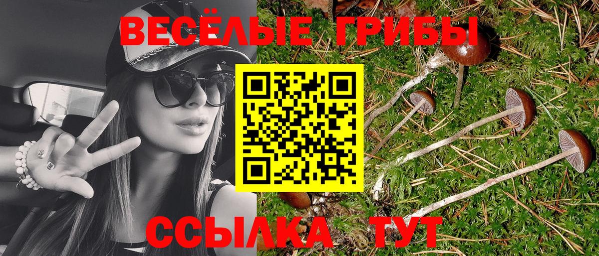 Псилоцибиновые грибы Cubensis Санкт-Петербург