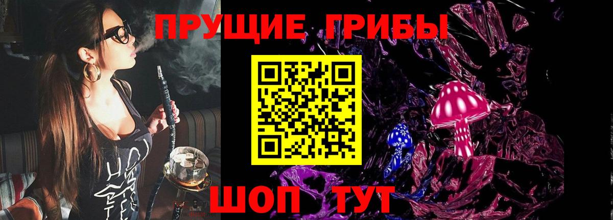 Псилоцибиновые грибы MAGIC MUSHROOMS  Вход с VPN  закладка  Санкт-Петербург  Галлюциногенные грибы Psilocybine cubensis 